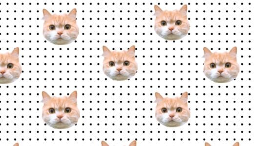 お笑い好きの観点からダウンタウンプラスは加入の価値あり？安く登録する方法は？