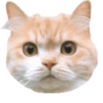 Namakeneco_png