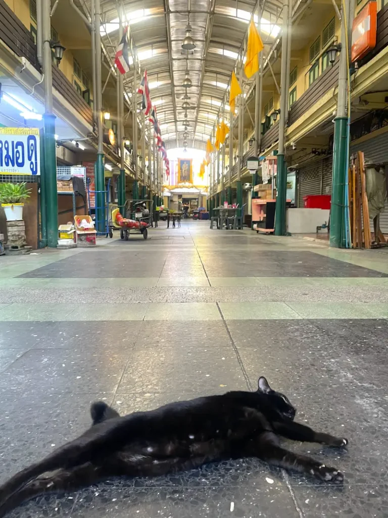 アミュレットマーケット