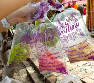 ロティサイマイ