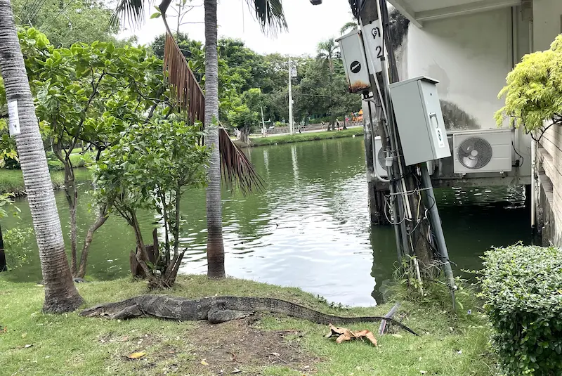 ルンピニー公園