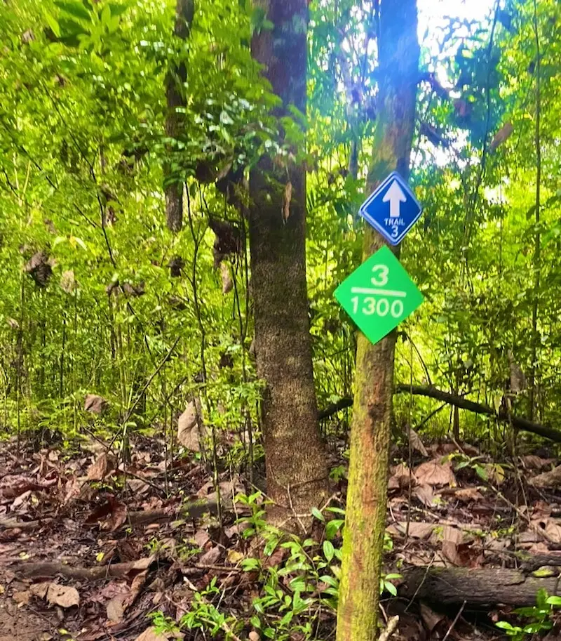 カオヤイ国立公園