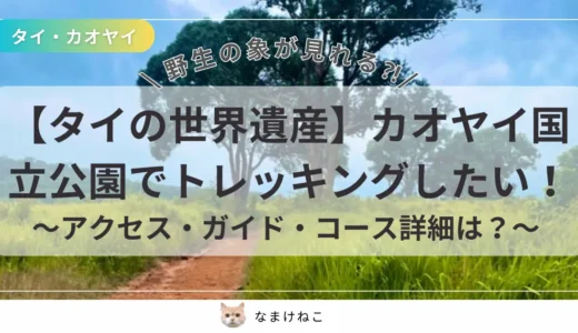 【地図あり】カオヤイ国立公園でトレッキング!アクセスは車なしで行ける?ガイド・入園料は?